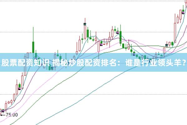股票配资知识 揭秘炒股配资排名：谁是行业领头羊？