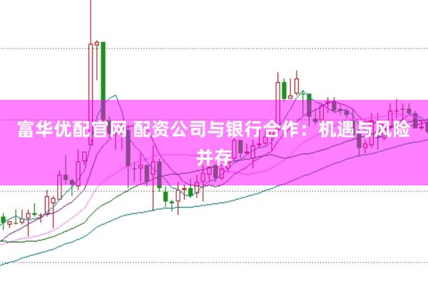 富华优配官网 配资公司与银行合作：机遇与风险并存