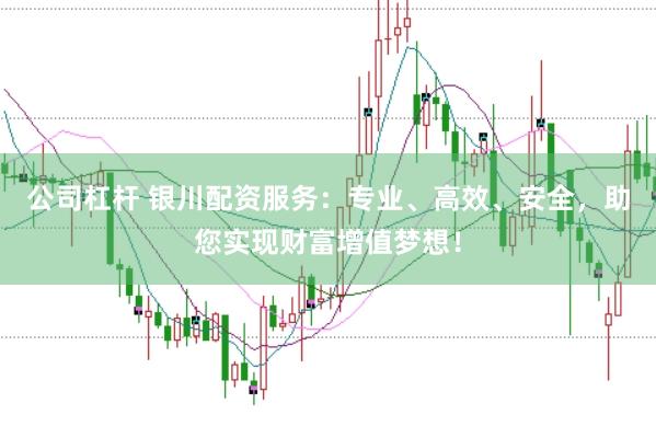 公司杠杆 银川配资服务：专业、高效、安全，助您实现财富增值梦想！