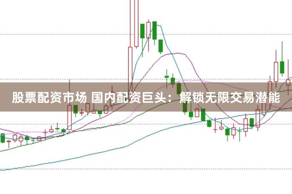 股票配资市场 国内配资巨头：解锁无限交易潜能