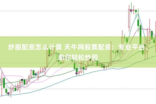 炒股配资怎么计算 天牛网股票配资：专业平台，助您轻松炒股