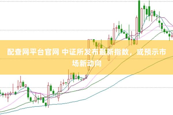 配查网平台官网 中证所发布最新指数，或预示市场新动向