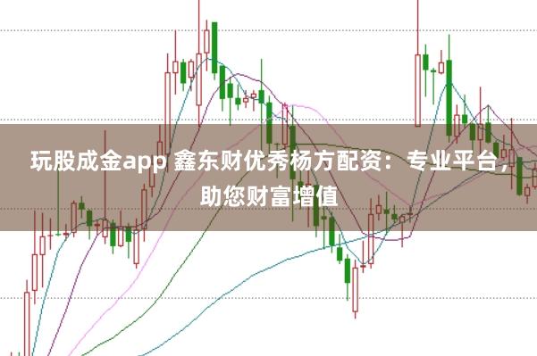玩股成金app 鑫东财优秀杨方配资：专业平台，助您财富增值