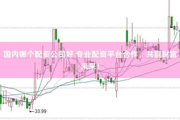 国内哪个配资公司好 专业配资平台合作，共赢财富未来！