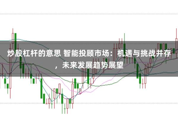 炒股杠杆的意思 智能投顾市场：机遇与挑战并存，未来发展趋势展望