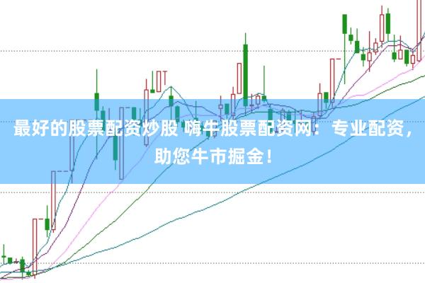 最好的股票配资炒股 嗨牛股票配资网：专业配资，助您牛市掘金！