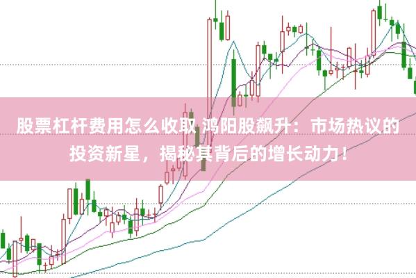 股票杠杆费用怎么收取 鸿阳股飙升：市场热议的投资新星，揭秘其背后的增长动力！