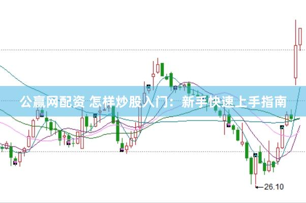 公赢网配资 怎样炒股入门：新手快速上手指南