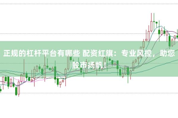 正规的杠杆平台有哪些 配资红旗：专业风控，助您股市扬帆！