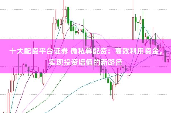十大配资平台证券 微私募配资:高效利用资金,实现投资增值的新路径