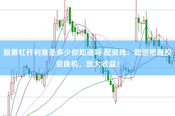 股票杠杆利息是多少你知道吗 配资线:助您把握投资良机,放大收益!