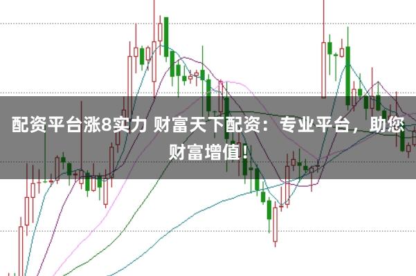 配资平台涨8实力 财富天下配资:专业平台,助您财富增值!