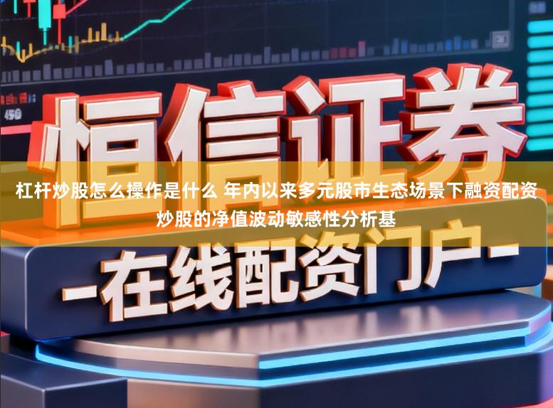 杠杆炒股怎么操作是什么 年内以来多元股市生态场景下融资配资炒股的净值波动敏感性分析基