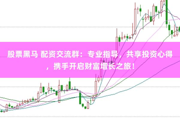股票黑马 配资交流群:专业指导,共享投资心得,携手开启财富增长之旅!